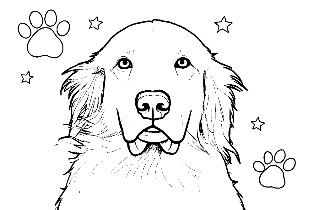 The golden retriever as a clean black-and-white coloring page